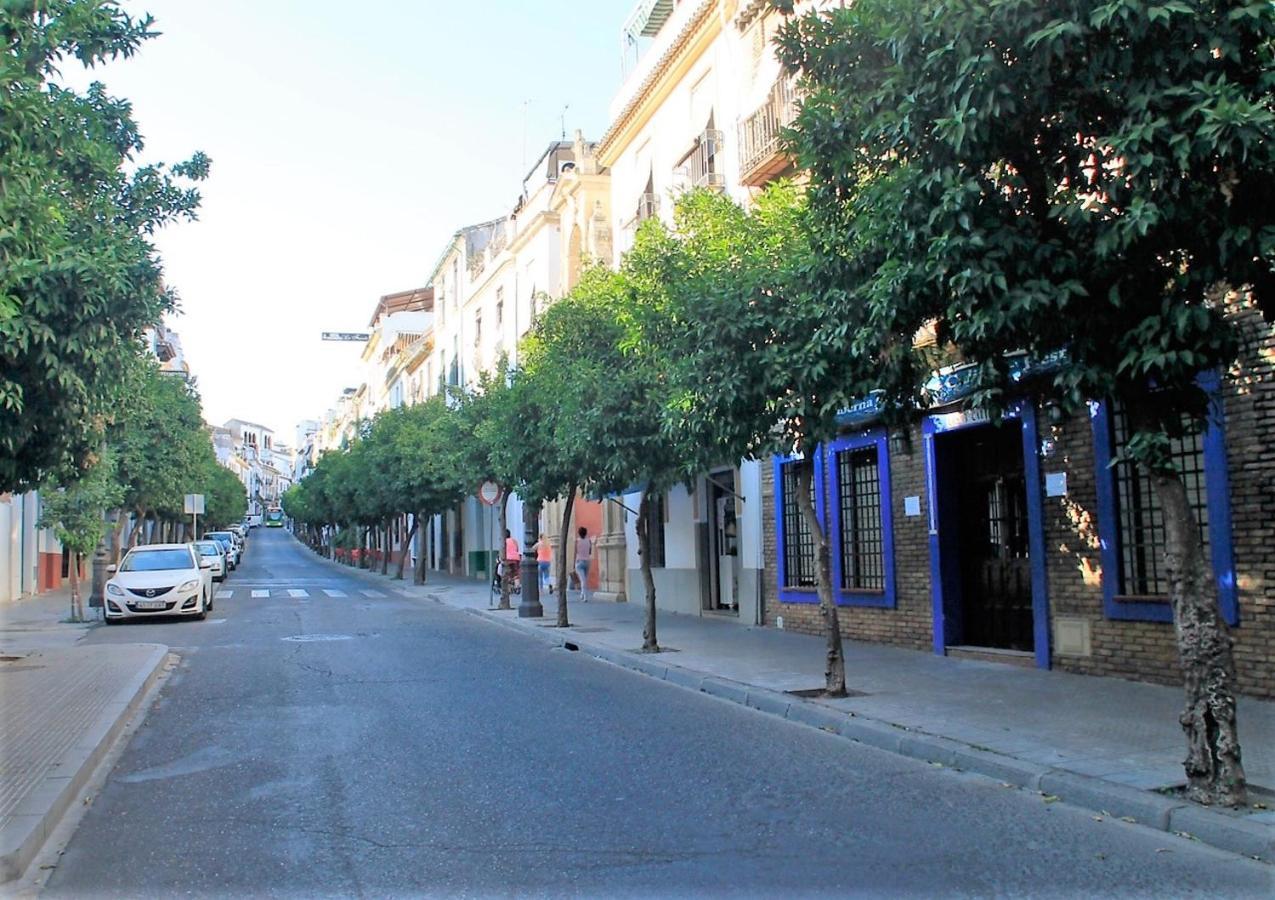 Vivienda Turistica Califato En Casco Historico Apartman Córdoba Kültér fotó