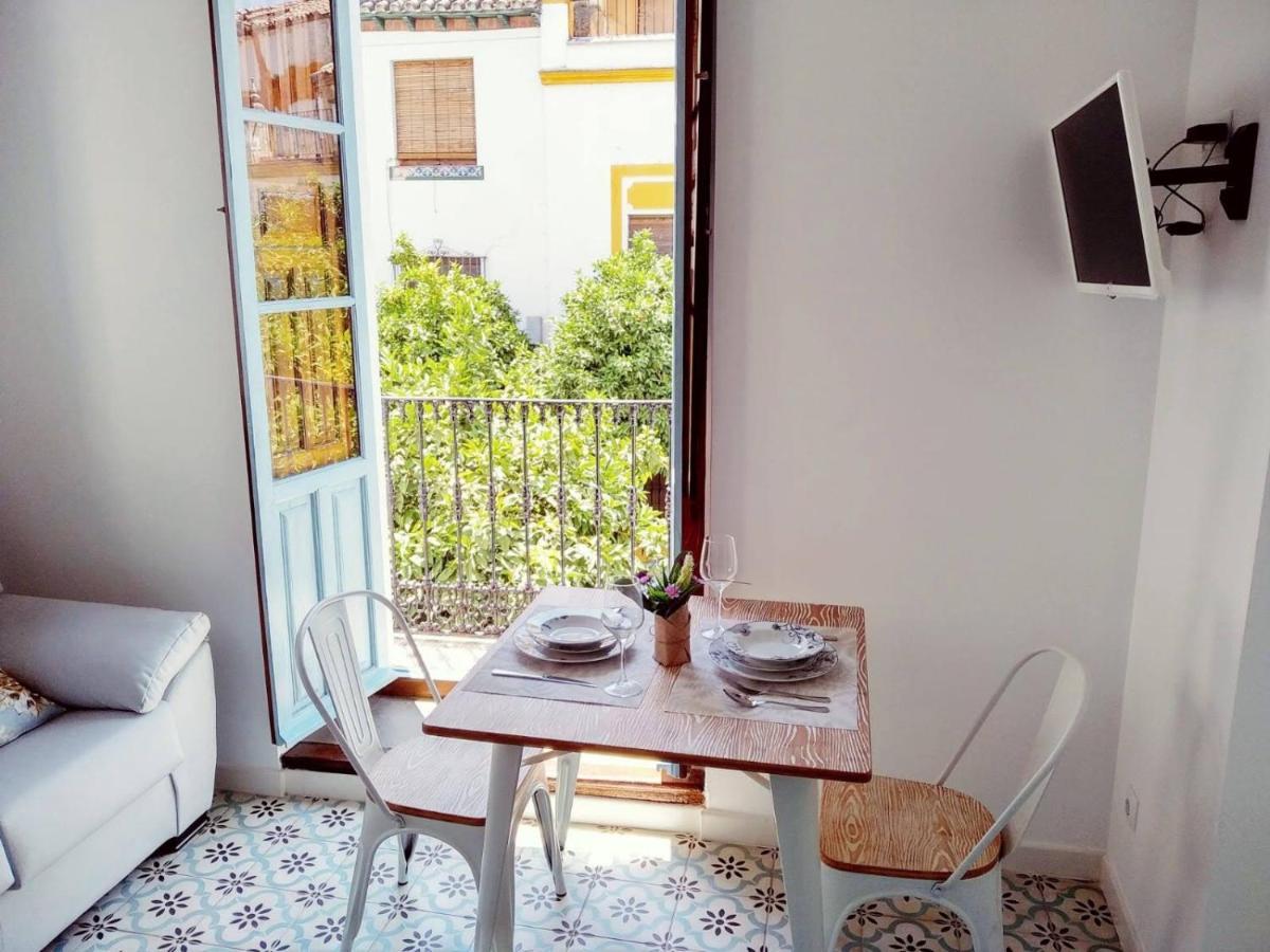 Vivienda Turistica Califato En Casco Historico Apartman Córdoba Kültér fotó